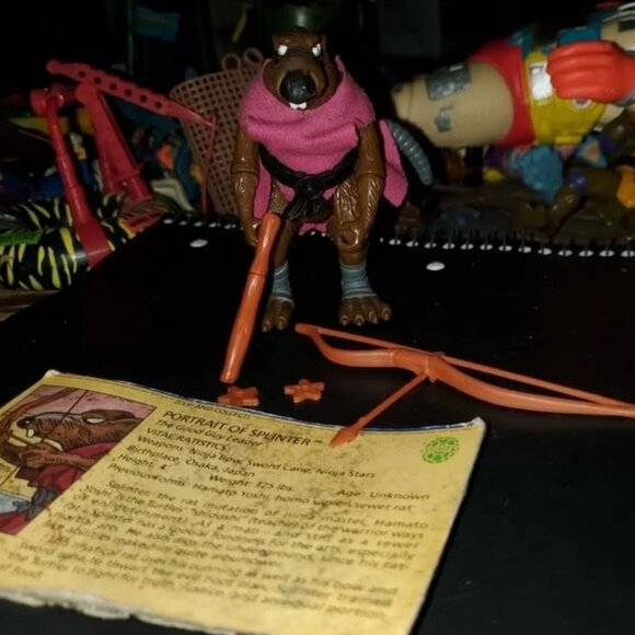 Portrait of Splinter TMNT Teenage Mutant Ninja Turtles...